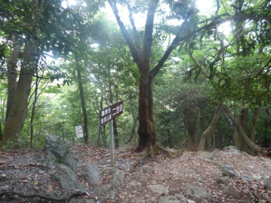 画像38